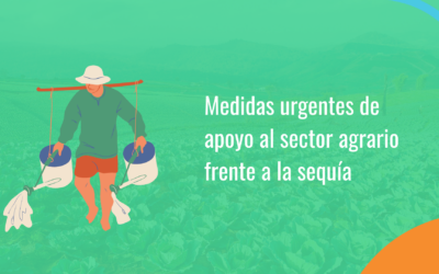 ¿Cuáles son las medidas urgentes de apoyo al sector agrario que se han adoptado frente a la sequía?